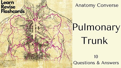 Pulmonary Trunk Anatomy Flashcards | 10 Questions and Answers