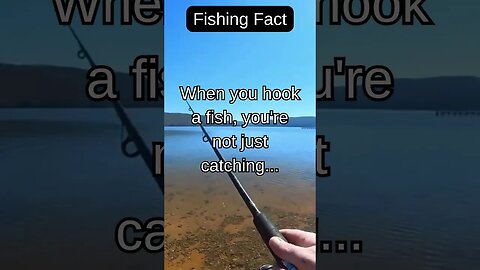 Fishing Facts #shorts #fishing #fishingfanatics