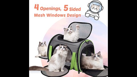 Cat Carrier, Airline Approved Pet Carrier Small Cat Carrier with Fleece Pad, Portable Cat Carri...