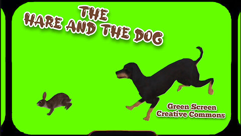 HARE AND DOG animation Green Screen. Video chromakey on the GREEN SCREEN.