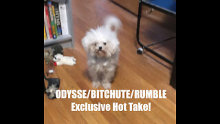 Rumble/Odysee/Bitchute Exclusive Hot Take News Blast! April 18th 2024