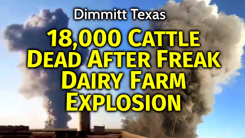 18,000 Cattle BLOWN UP In Freak Dairy Farm Explosion: Food Supply UP IN SMOKE PLUME (AGAIN)