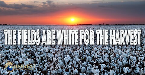The fields are white for the harvest!