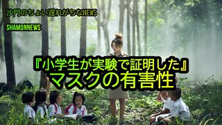 『小学生が実験で証明した』マスクの有害性(沙門のちょい遅れがちなNEWS)