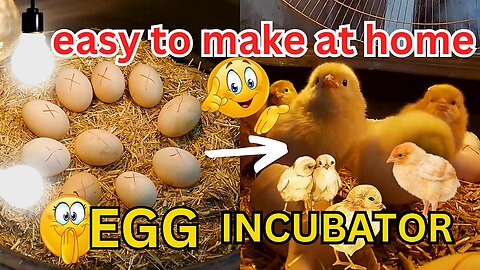 how to make egg incubator at home | Invention ideas Ep:04