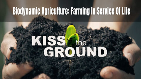 Kiss The Ground - Biodynamic Agriculture: Farming In Service Of Life