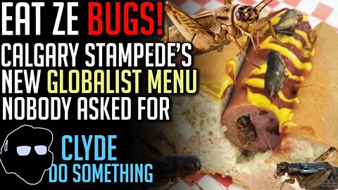 Calgary Stampede Serving Bugs - Mealworm and Cricket Hotdogs on the Menu - Thanks, I Hate it.