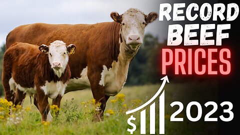 Skyrocketing Beef Prices BLAST OFF! Listen To This!
