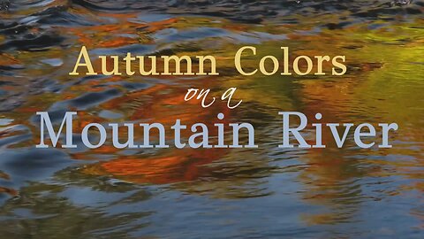 Autumn Colors on a Mountain River