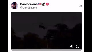 Dan Scavino