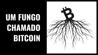 Por que os fungos tornam o Bitcoin inevitável (Mycelium Pt2 CANAL POWER LAWS: BITCOIN DOCUMENTARIES)