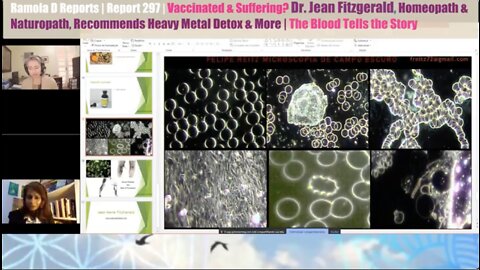 Vaccinated and Suffering - Dr. Jean Fitzgerald Recommends Heavy Metal Detox & More