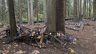 Haunted Forest..Shocking!