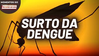 Dengue mata e aumenta pelo encobrimento durante a Covid-19 | Momentos