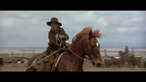 The Cowboys - You'll Do