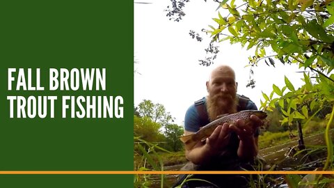 Fall Brown Trout Fishing, Brown Trout Fishing Videos, Michigan Trout Fisherman,