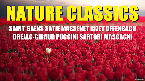 NATURE CLASSICS SAINT-SAENS SATIE MASSENET BIZET OFFENBACH DREJAC-GIRAUD PUCCINI SARTORI MASCAGNI