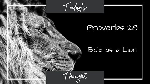 Today's Thought: Proverbs 28 - Bold as a Lion