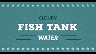 Why Is My Fish Tank Water Cloudy: WATCH BEFORE CLEANING CLOUDY TANK WATER