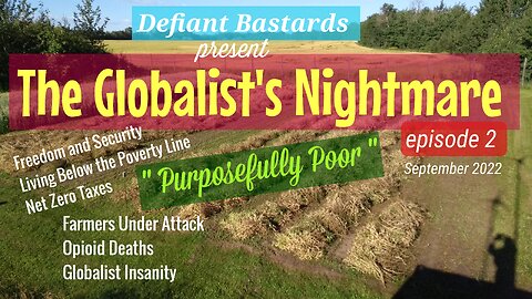 The Globalist's Nightmare Episode #2