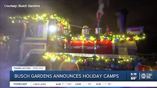Busch Gardens, SeaWorld offer December holiday camps