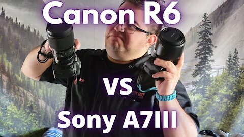Canon R6 vs Sony A7iii: Head to Head Comparison