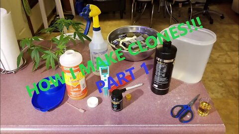 HOW I MAKE #CANNABIS #CLONES PART 1 ✂🌳🌱🌞👍💪🍍❄🔥🔨🔨 #sevenleafgenetics #Clonex