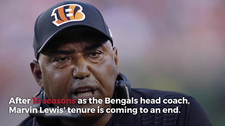 Marvin Lewis Plans To Step Down After The Season