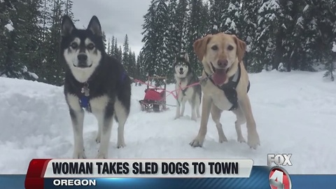 Woman uses dogsled to get to grocery