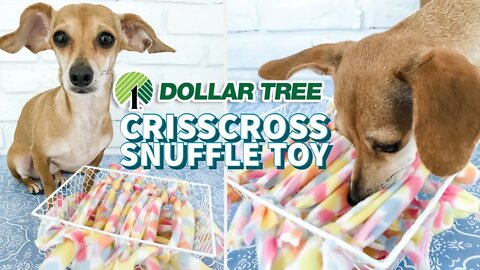 Dollar Tree DIY - Crisscross Snuffle Dog Toy