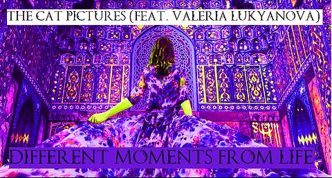 The Cat Pictures (feat. Valeria Lukyanova) - Different Moments from Life