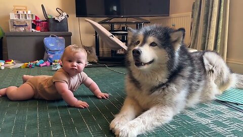 Baby Learns To Crawl To His Dog! (Cutest Ever!!)