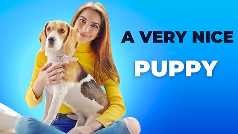 A very nice puppy, Don't miss out on the tail-wagging fun—hit play and let the puppy love begin!