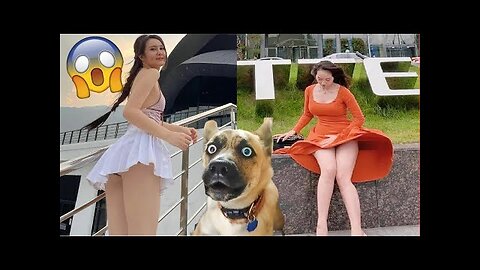 Funniest Animals Videos, Funniest Dogs and Cats