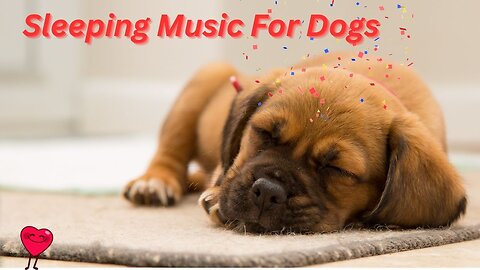 Calming Music For Dogs to Sleep Like Babies | Soothing Music for Dogs #dogmusic #dogs #doglovers