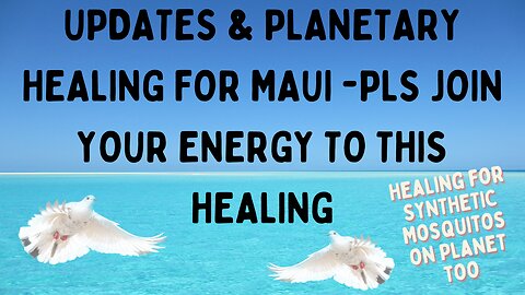 UPDATES & IMPORTANT PLANETARY HEALING FOR MAUI & SYNTHETIC MOSQUITOES - PLS WATCH & ADD YOUR ENERGY