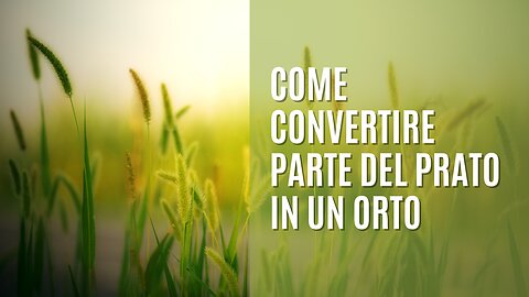 Come convertire parte del prato in un orto