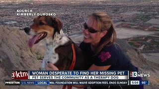 Lake Las Vegas woman desperate to find missing therapy dog