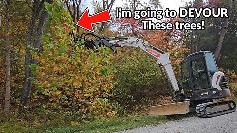 Transforming Chaos: Mini Excavator Conquers 15' Jungle with HD Brush Cutter