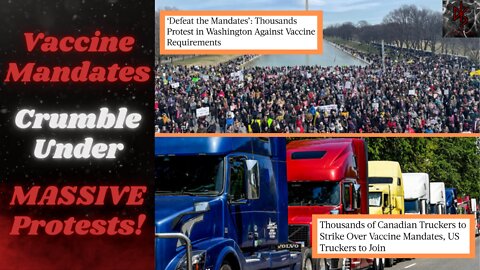 Another Vaccine Mandate Falls | HUGE Protest in Washington | Truckers Against FORCED Jabs