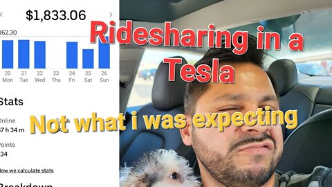 $1833 Ridesharing in a Tesla Rental