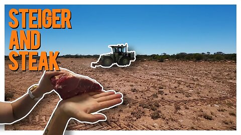Restoring the Outback: Final Mining Site and Camel Cook Up!
