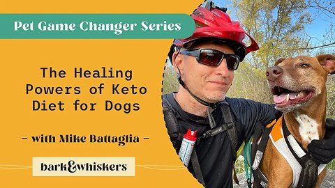 The Healing Powers of Keto Diet for Dogs