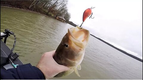 PERFECTING THE CRANKBAIT FISHING SYSTEM