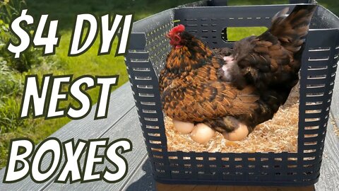DYI Nest Boxes For Chickens | Dollar Store Edition