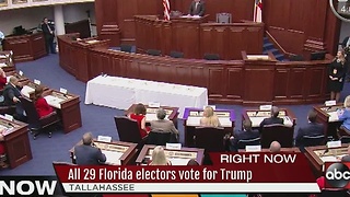 Florida's 29 electors all cast votes for Trump