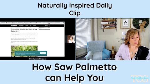 How Palmetto Can Help You