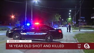 14-year-old shot, killed on the West Side