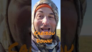 Drilled a Caribou at 420 Yards