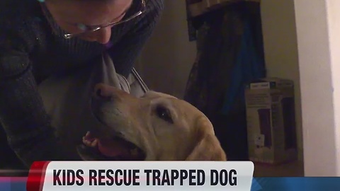 Girls help rescue dog from irrigation grate